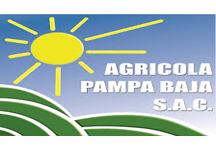 agricola pampa baja sac